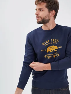 Bear - Sweat coton homme