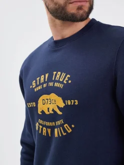 Bear - Sweat coton homme