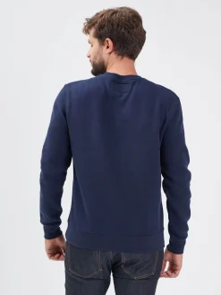 Bear - Sweat coton homme