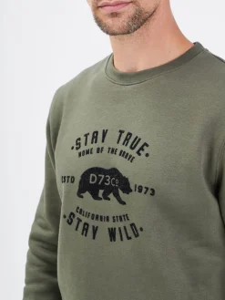 Bear - Sweat coton homme
