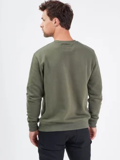 Bear - Sweat coton homme