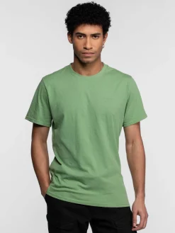 Cedar - T-shirt basique
